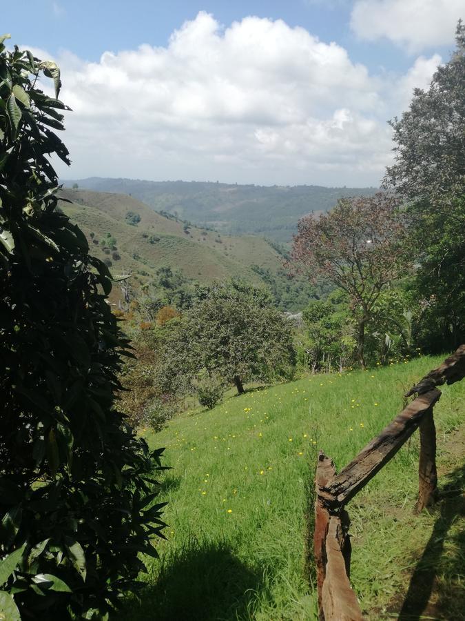 Ecorefugio Las Mirlas Salento Luaran gambar